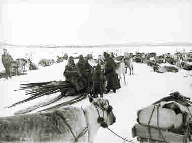 Flyttande samer med renraid tar rast år 1901.