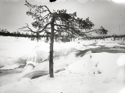 Ruotokoskfallet vid Porjus. Foto taget den 28 april 1919. Samtida med bild nr 1205 och 1217.