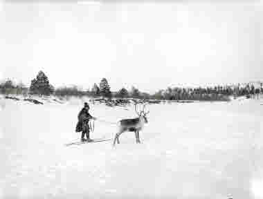 Johan Turi tolkar efter ren år 1914.