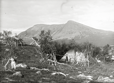 Per Aslakssons kåta vid Laimolahti.29/8-1913