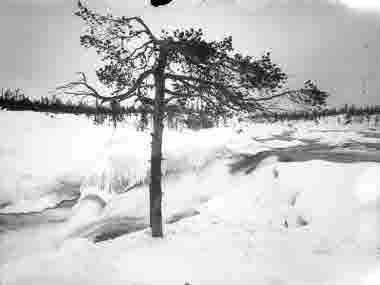 Ruotokoskfallet vid Porjus. Foto taget den 28 april 1919. Samtida med bild nr 1205 och 1217.