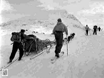 Med hundspann i fjällvärlden