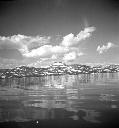Fjällsjö