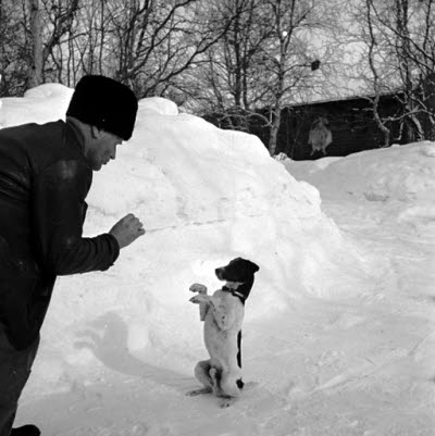 Sitter vackert.