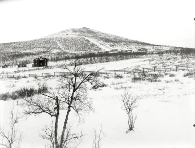 Luossavaara den 10 april 1919.