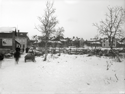 Renar på kyrkmyren, Bergmästargatan i bakgrunden.