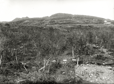 Kirunavaara sommaren 1901.