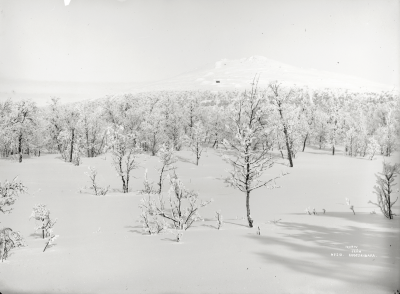 Frostmotiv mot Luossavaara år 1907.