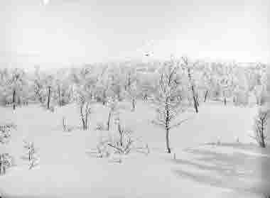 Frostmotiv mot Luossavaara år 1907.