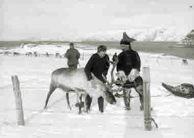 Engelsmannen Butler på skidor i Norge. I förgrunden samer med ren.