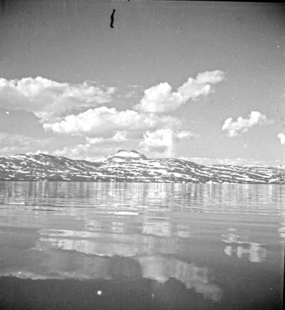 Fjällsjö