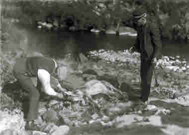 Slakt av tågskadad ren år 1920.